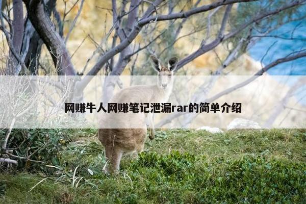 网赚牛人网赚笔记泄漏rar的简单介绍