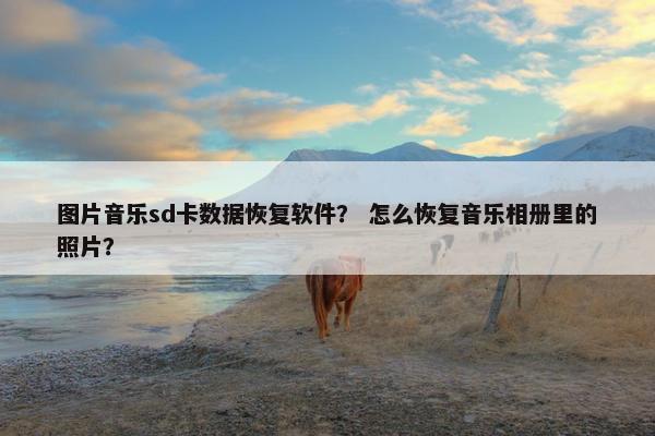 图片音乐sd卡数据恢复软件？ 怎么恢复音乐相册里的照片？