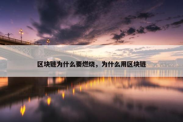 区块链为什么要燃烧，为什么用区块链