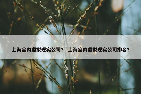 上海室内虚拟现实公司？ 上海室内虚拟现实公司排名？