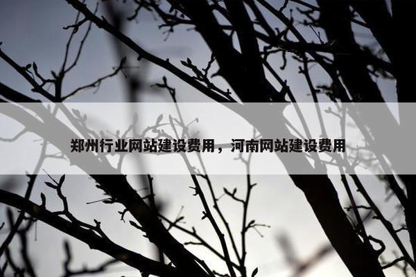 郑州行业网站建设费用，河南网站建设费用