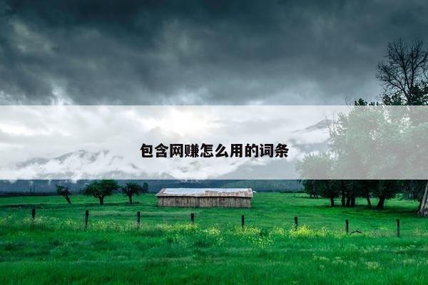 包含网赚怎么用的词条