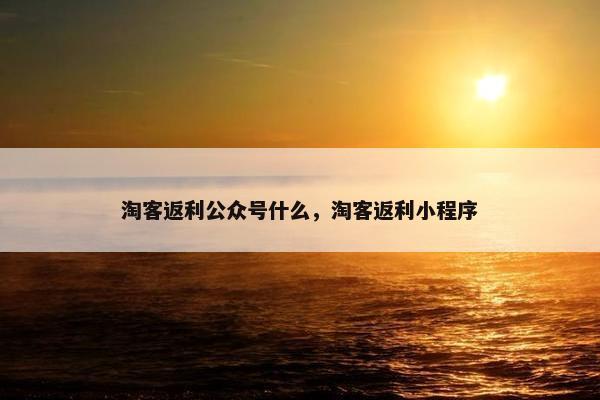 淘客返利公众号什么，淘客返利小程序