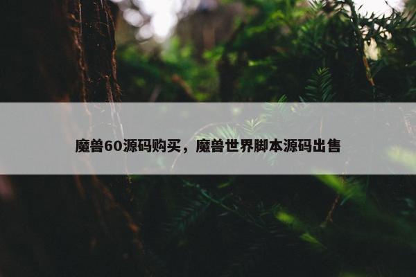 魔兽60源码购买，魔兽世界脚本源码出售