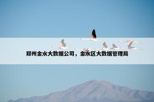 郑州金水大数据公司，金水区大数据管理局