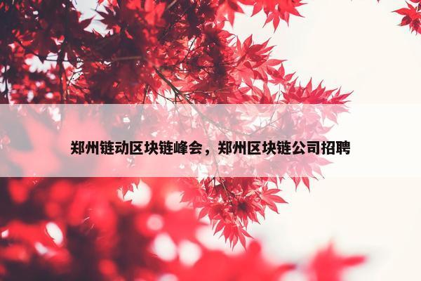 郑州链动区块链峰会，郑州区块链公司招聘