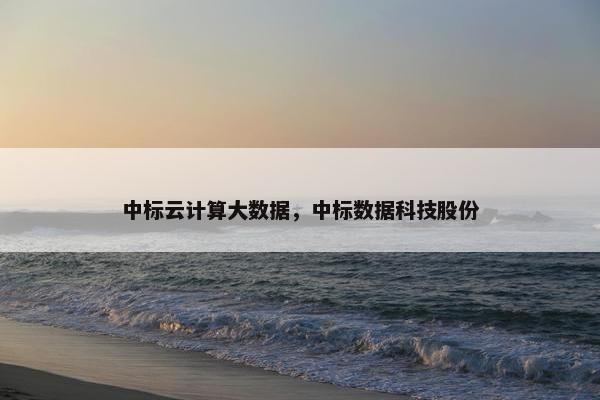 中标云计算大数据，中标数据科技股份