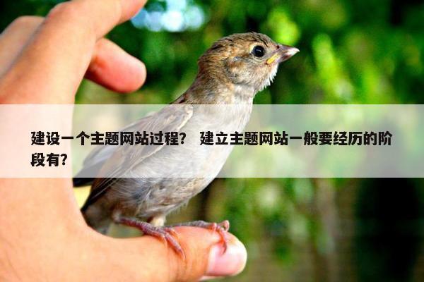 建设一个主题网站过程？ 建立主题网站一般要经历的阶段有？