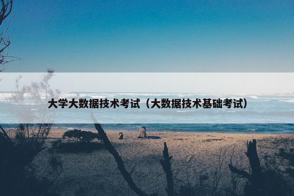 大学大数据技术考试（大数据技术基础考试）