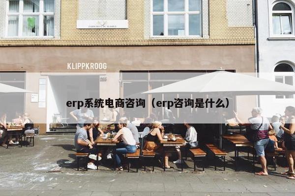 erp系统电商咨询（erp咨询是什么）
