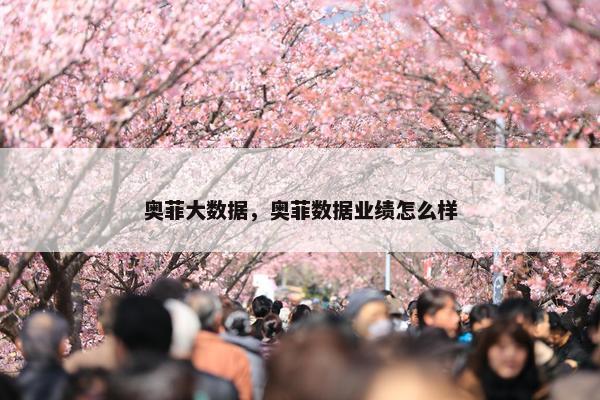 奥菲大数据，奥菲数据业绩怎么样