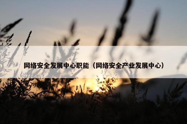 网络安全发展中心职能（网络安全产业发展中心）