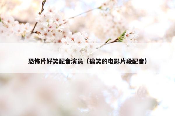 恐怖片好笑配音演员（搞笑的电影片段配音）