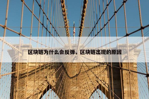 区块链为什么会反弹，区块链出现的原因