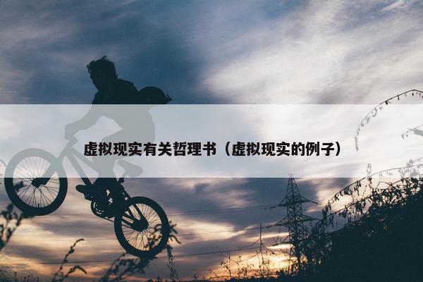 虚拟现实有关哲理书（虚拟现实的例子）