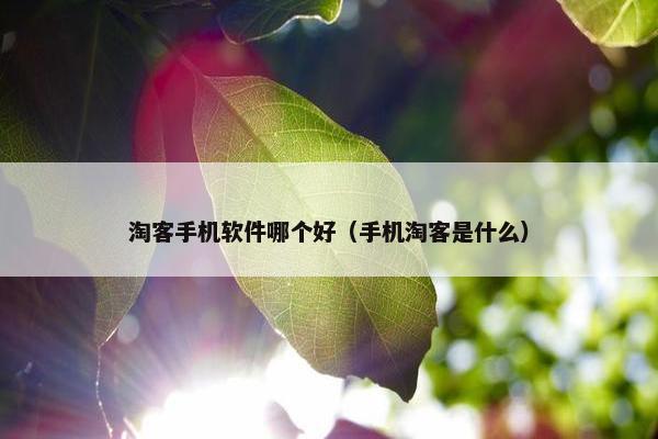 淘客手机软件哪个好（手机淘客是什么）