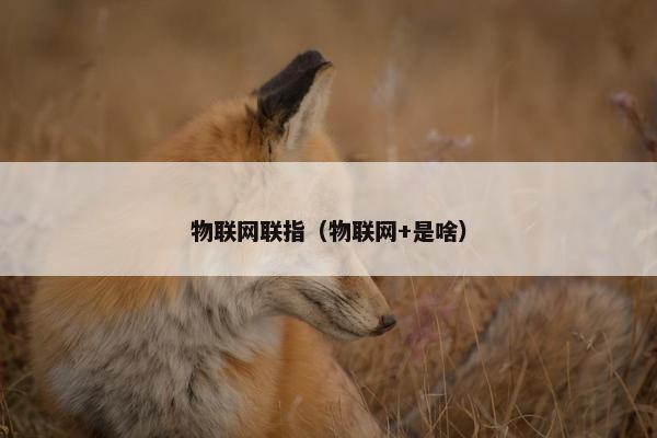 物联网联指（物联网+是啥）