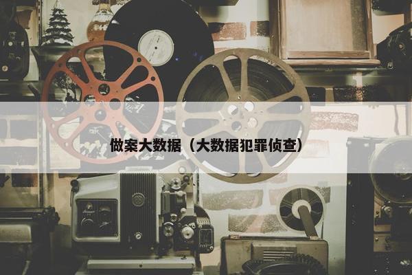 做案大数据（大数据犯罪侦查）