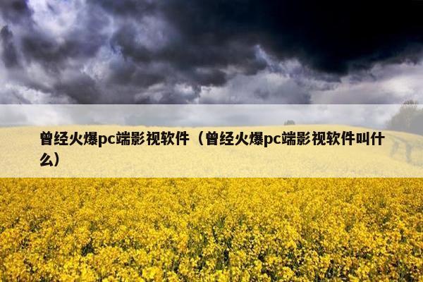 曾经火爆pc端影视软件（曾经火爆pc端影视软件叫什么）