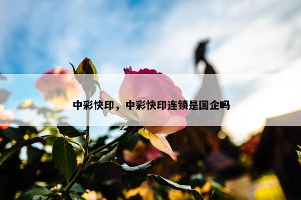 中彩快印，中彩快印连锁是国企吗