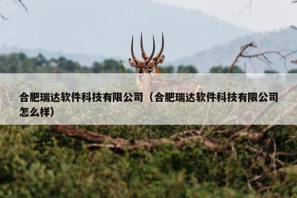 合肥瑞达软件科技有限公司（合肥瑞达软件科技有限公司怎么样）