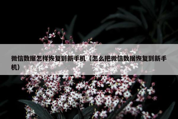 微信数据怎样恢复到新手机（怎么把微信数据恢复到新手机）