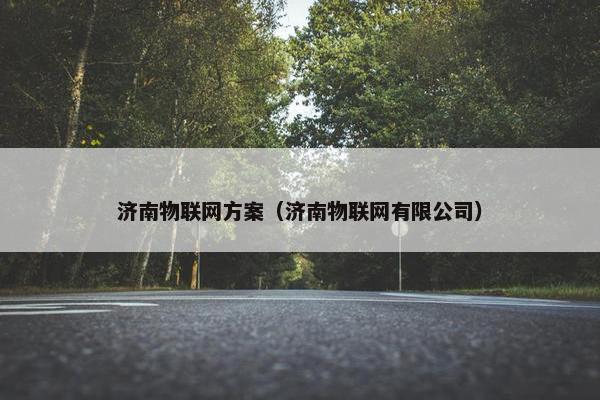 济南物联网方案（济南物联网有限公司）