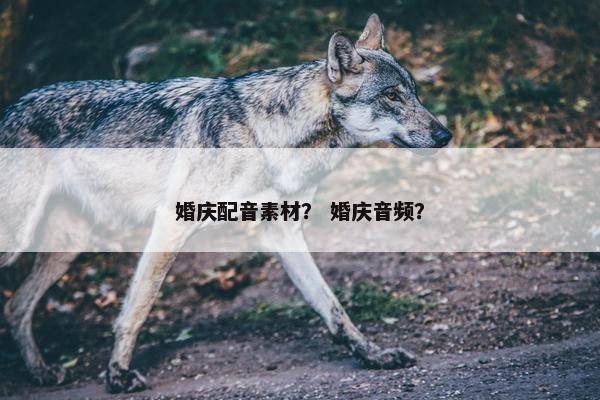 婚庆配音素材？ 婚庆音频？