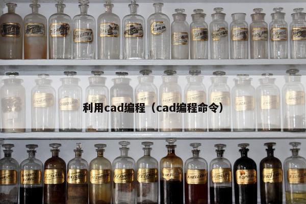 利用cad编程（cad编程命令）