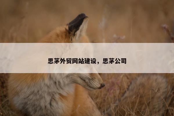 思茅外贸网站建设，思茅公司