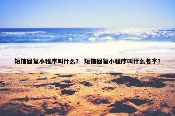 短信回复小程序叫什么？ 短信回复小程序叫什么名字？