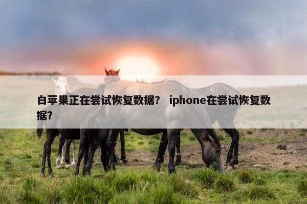 白苹果正在尝试恢复数据？ iphone在尝试恢复数据？