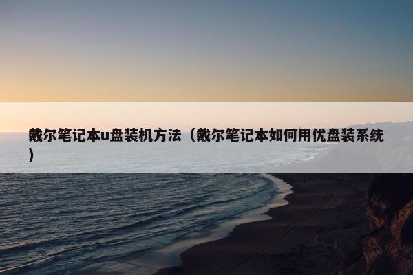 戴尔笔记本u盘装机方法（戴尔笔记本如何用优盘装系统）