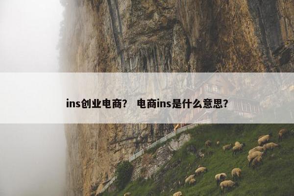 ins创业电商？ 电商ins是什么意思？