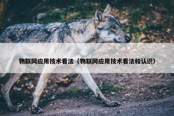 物联网应用技术看法（物联网应用技术看法和认识）