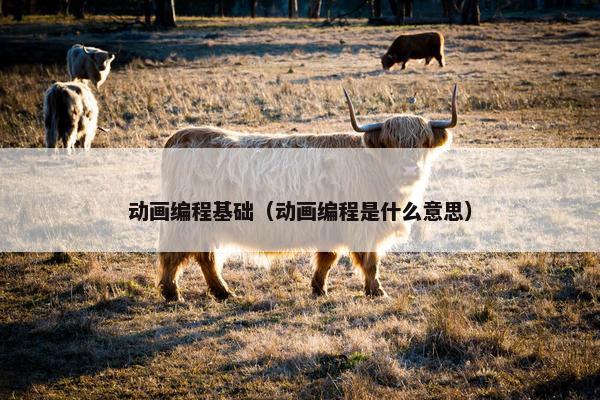 动画编程基础（动画编程是什么意思）