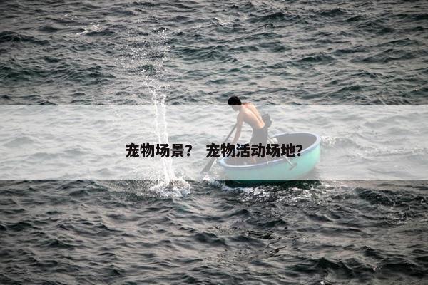 宠物场景？ 宠物活动场地？
