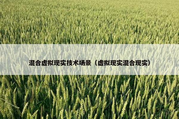 混合虚拟现实技术场景（虚拟现实混合现实）