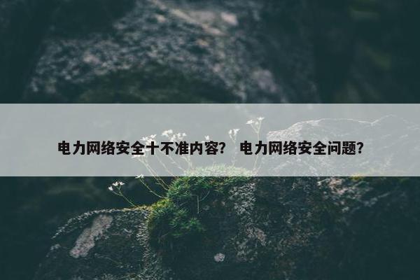 电力网络安全十不准内容？ 电力网络安全问题？