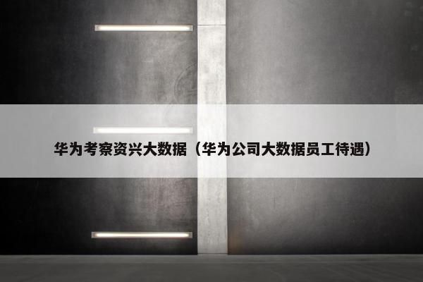 华为考察资兴大数据（华为公司大数据员工待遇）