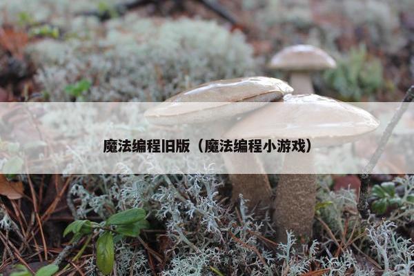 魔法编程旧版（魔法编程小游戏）