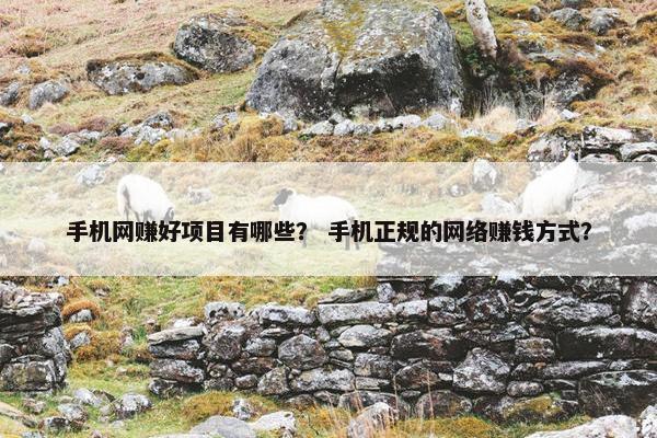 手机网赚好项目有哪些？ 手机正规的网络赚钱方式？