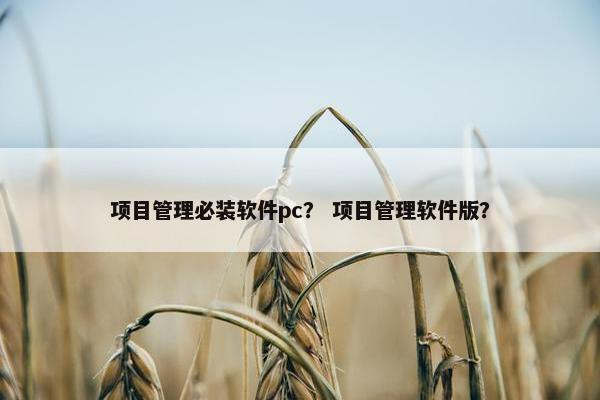 项目管理必装软件pc？ 项目管理软件版？