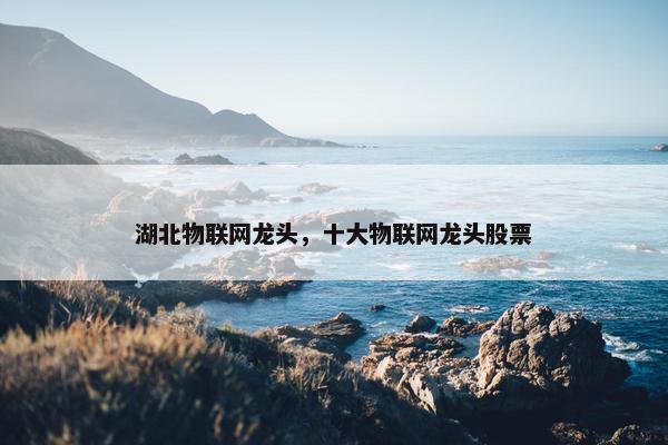 湖北物联网龙头，十大物联网龙头股票