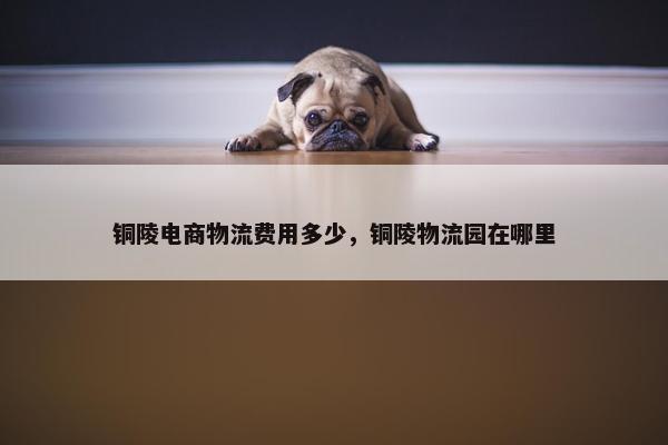 铜陵电商物流费用多少，铜陵物流园在哪里
