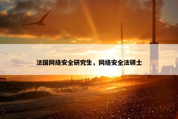 法国网络安全研究生，网络安全法硕士