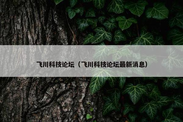 飞川科技论坛（飞川科技论坛最新消息）