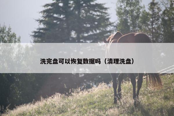洗完盘可以恢复数据吗（清理洗盘）