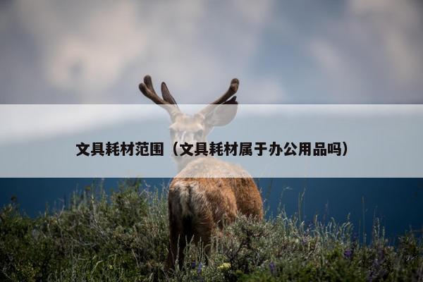 文具耗材范围（文具耗材属于办公用品吗）