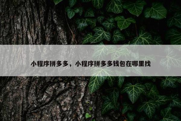 小程序拼多多，小程序拼多多钱包在哪里找